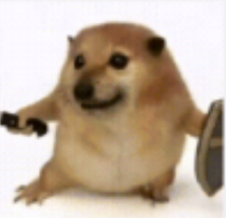 免费看片APPAPP应用