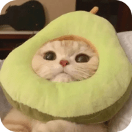 看b站a8直播APP应用